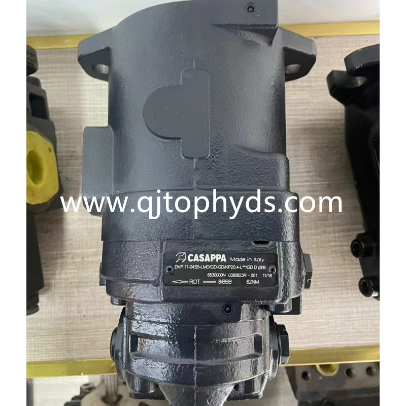 CASAPPA Hydraulic Pump DVP11-04S5-LMD Piston Pump Made in Italy